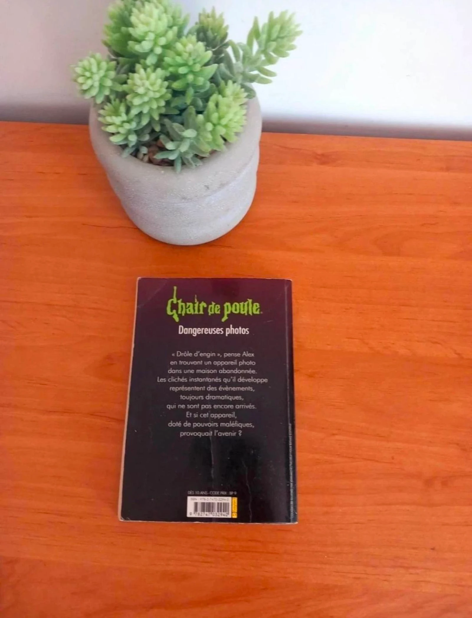 Libro Carne de Gallina – photo 2